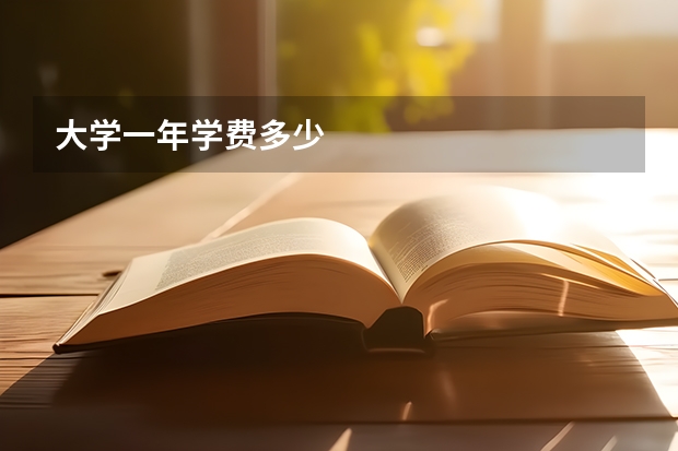 大学一年学费多少