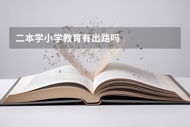 二本学小学教育有出路吗