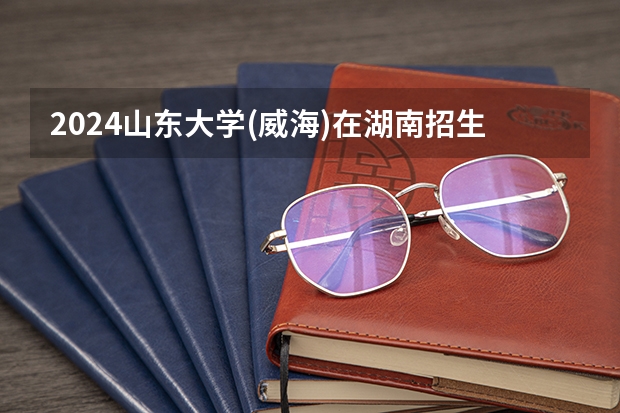 2024山东大学(威海)在湖南招生计划 招多少人