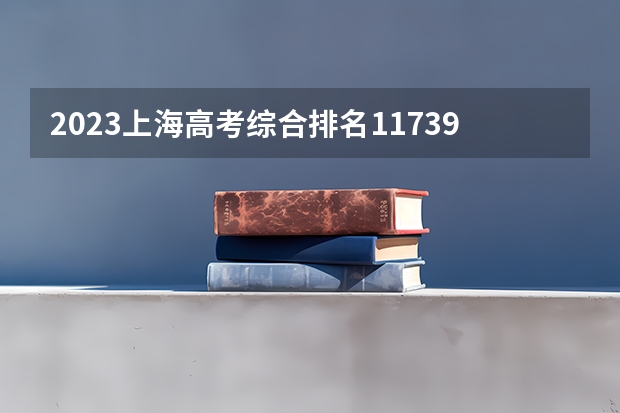 2023上海高考综合排名11739的考生报什么大学好 学校往年录取分数线