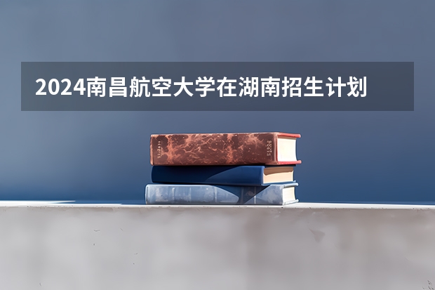 2024南昌航空大学在湖南招生计划 招多少人