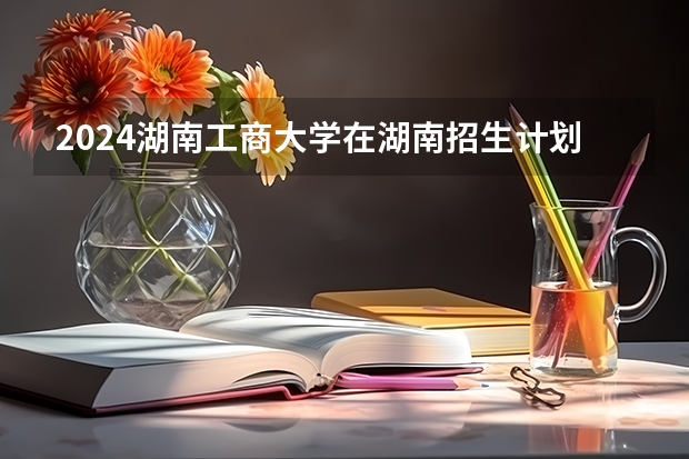 2024湖南工商大学在湖南招生计划 招多少人