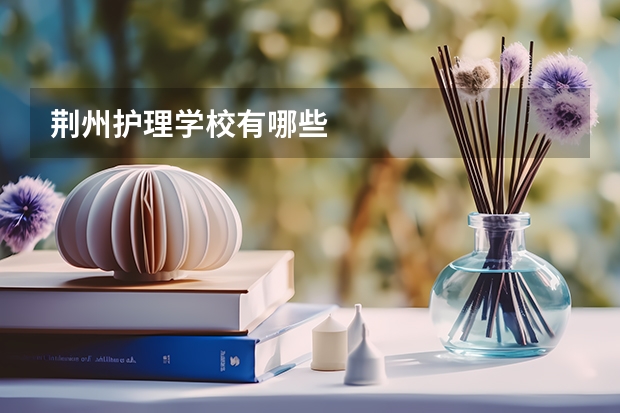 荆州护理学校有哪些