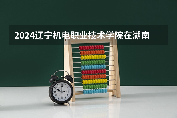 2024辽宁机电职业技术学院在湖南招生计划 招多少人
