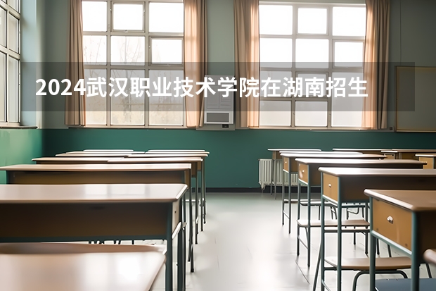 2024武汉职业技术学院在湖南招生计划 招多少人