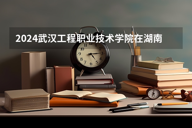 2024武汉工程职业技术学院在湖南招生计划 招多少人