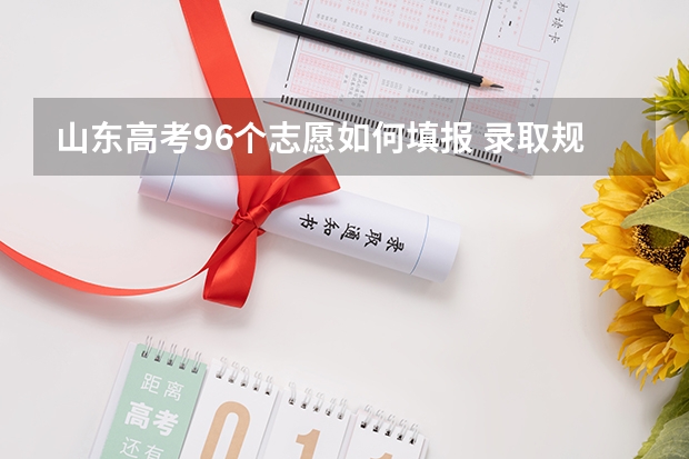 山东高考96个志愿如何填报 录取规则政策解读