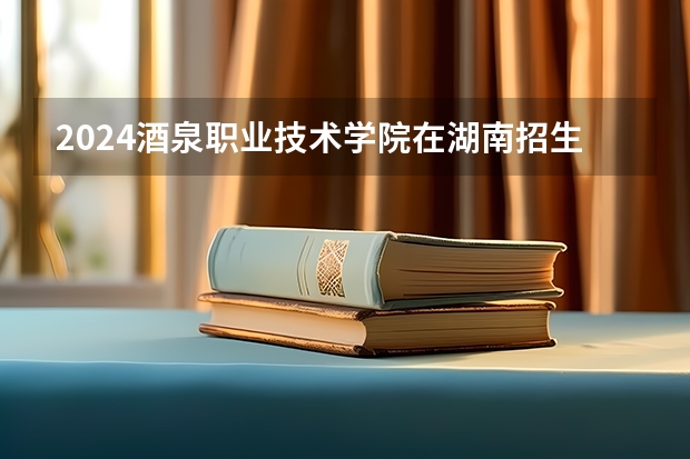 2024酒泉职业技术学院在湖南招生计划 招多少人