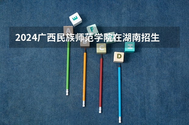 2024广西民族师范学院在湖南招生计划 招多少人