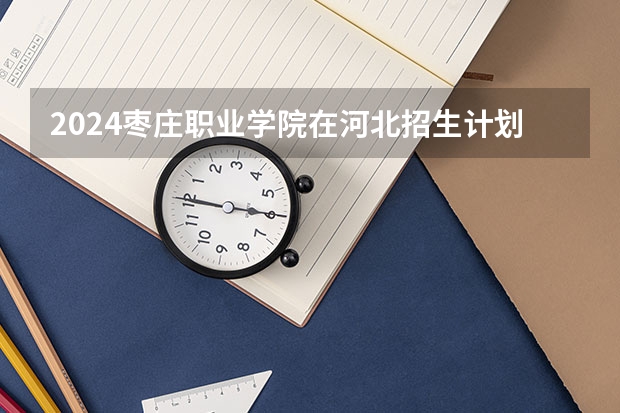 2024枣庄职业学院在河北招生计划 招多少人