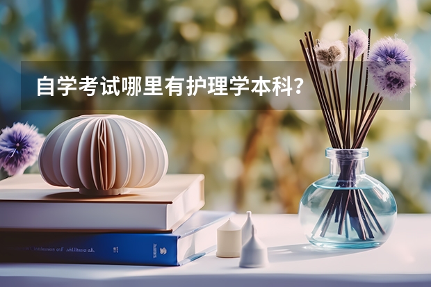 自学考试哪里有护理学本科?