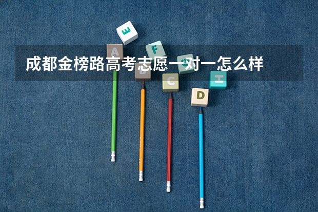 成都金榜路高考志愿一对一怎么样