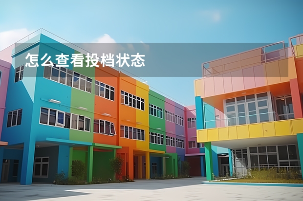 怎么查看投档状态