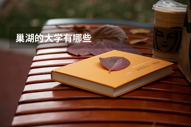 巢湖的大学有哪些