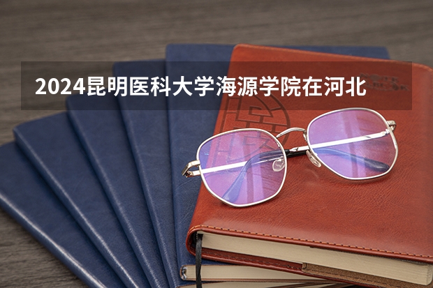2024昆明医科大学海源学院在河北招生计划 招多少人