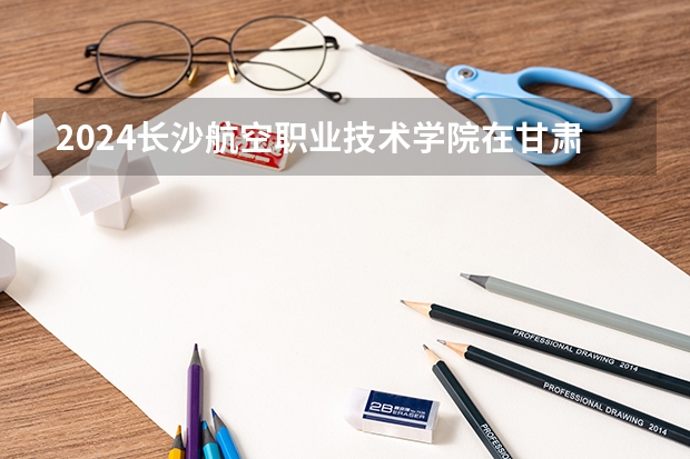 2024长沙航空职业技术学院在甘肃招生计划 招多少人