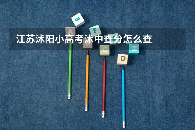 江苏沭阳小高考沭中查分怎么查