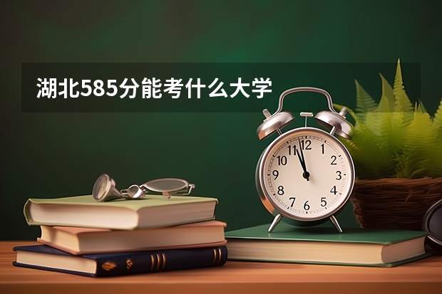 湖北585分能考什么大学