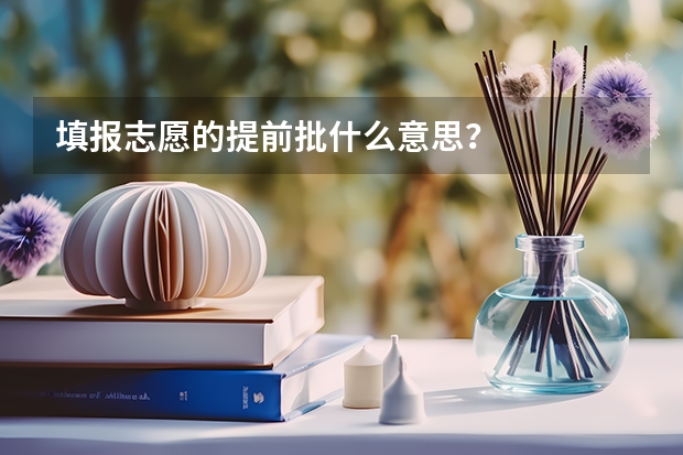 填报志愿的提前批什么意思?