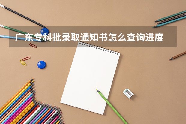 广东专科批录取通知书怎么查询进度
