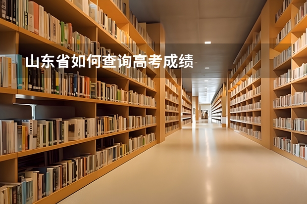 山东省如何查询高考成绩