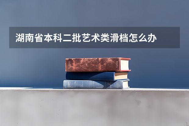 湖南省本科二批艺术类滑档怎么办