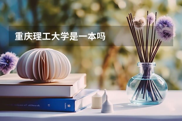 重庆理工大学是一本吗