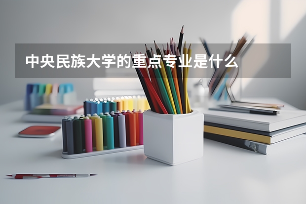 中央民族大学的重点专业是什么