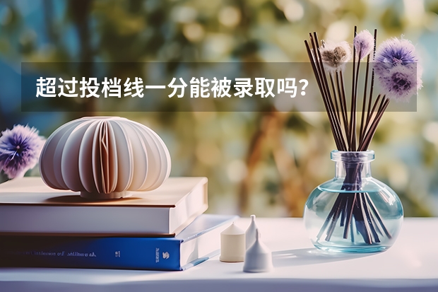超过投档线一分能被录取吗？