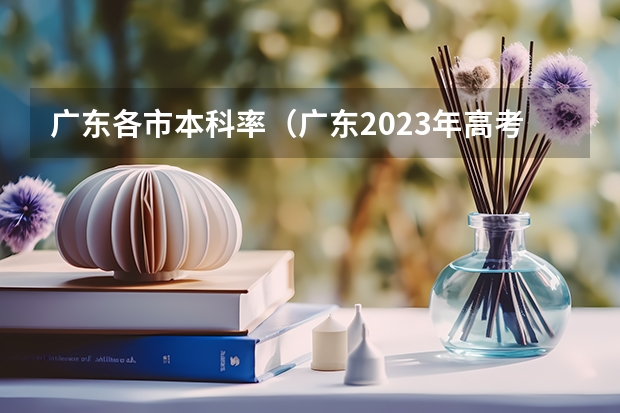 广东各市本科率（广东2023年高考本科录取率）
