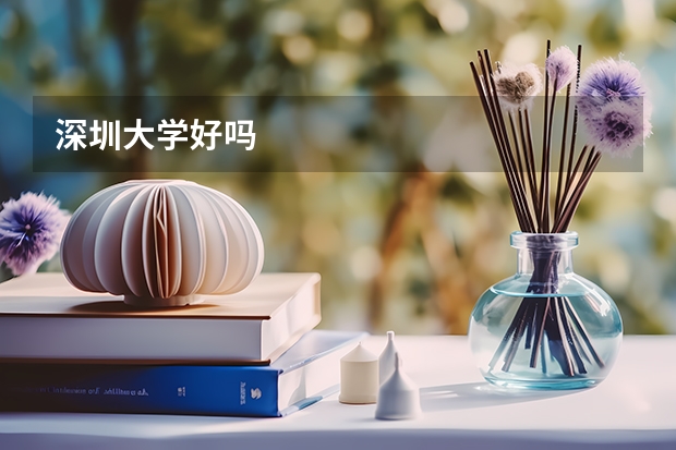 深圳大学好吗