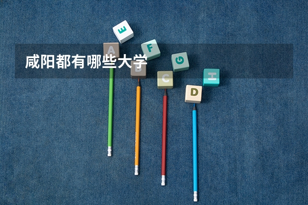 咸阳都有哪些大学