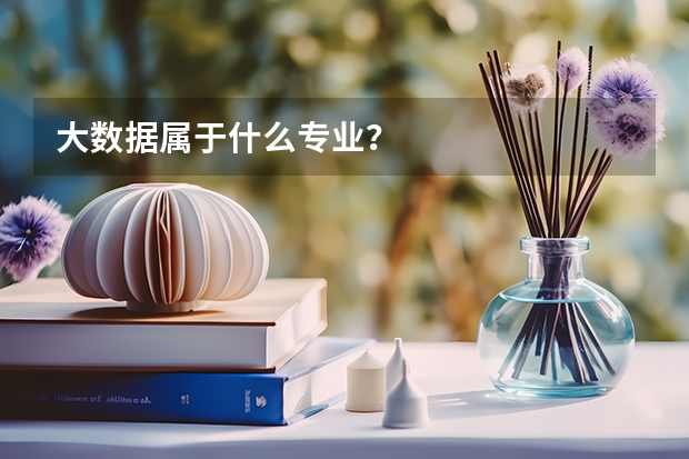 大数据属于什么专业？