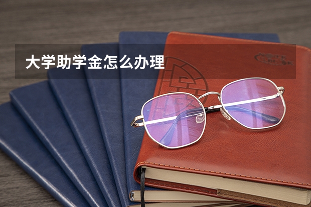 大学助学金怎么办理