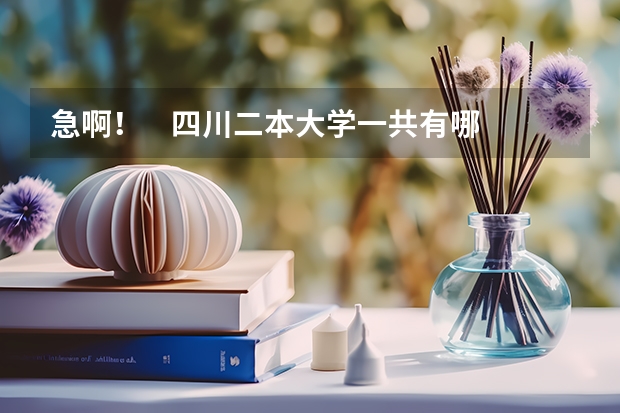 急啊！    四川二本大学一共有哪些哦？比较好的  最好把所有的四川二本大学都列出来哈  谢谢