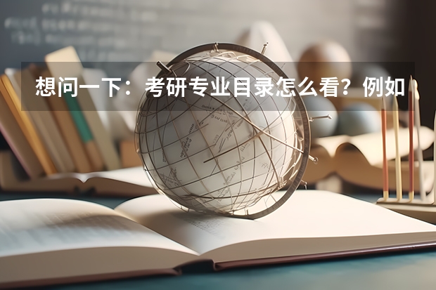 想问一下：考研专业目录怎么看？例如031会计系后面还多了很多代码？有什么区别？报考时代码怎么填？