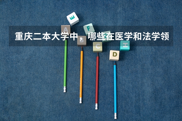 重庆二本大学中，哪些在医学和法学领域有较高声誉？