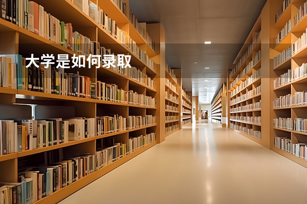 大学是如何录取