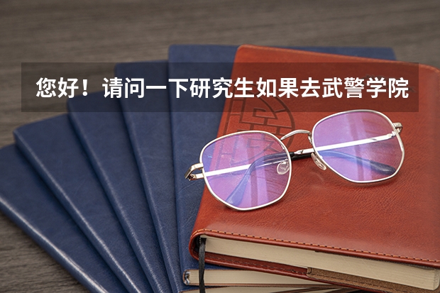 您好!请问一下研究生如果去武警学院做老师的话,待遇如何呢?谢谢!