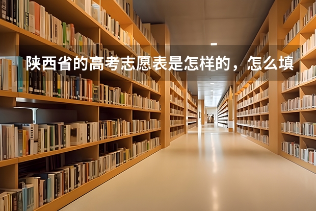 陕西省的高考志愿表是怎样的,怎么填法,很急