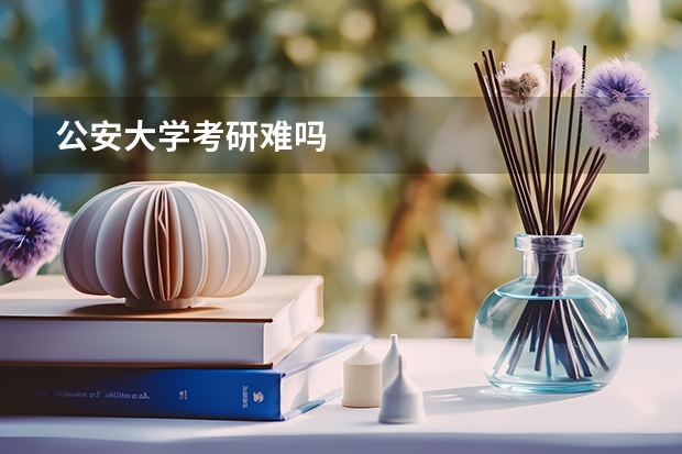 公安大学考研难吗