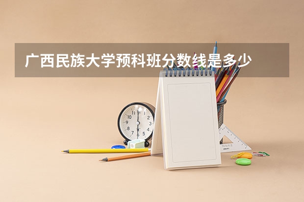 广西民族大学预科班分数线是多少