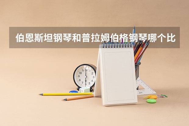 伯恩斯坦钢琴和普拉姆伯格钢琴哪个比较好？广西河池用琴。