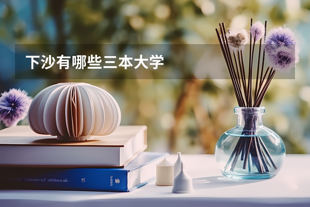 下沙有哪些三本大学