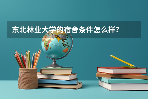 东北林业大学的宿舍条件怎么样？