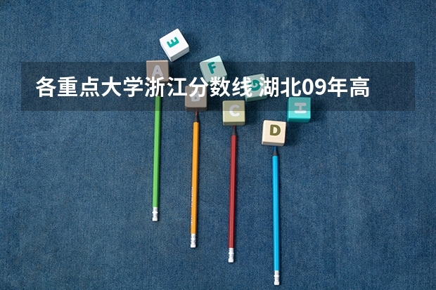 各重点大学浙江分数线 湖北09年高考 报名录取情况?