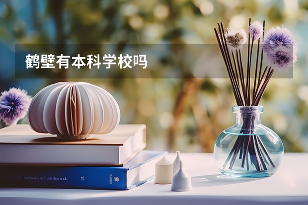 鹤壁有本科学校吗