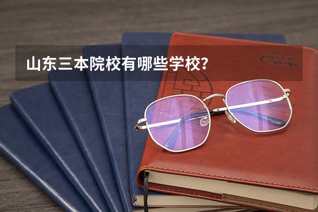 山东三本院校有哪些学校？