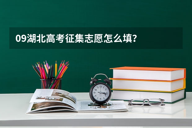 09湖北高考征集志愿怎么填？