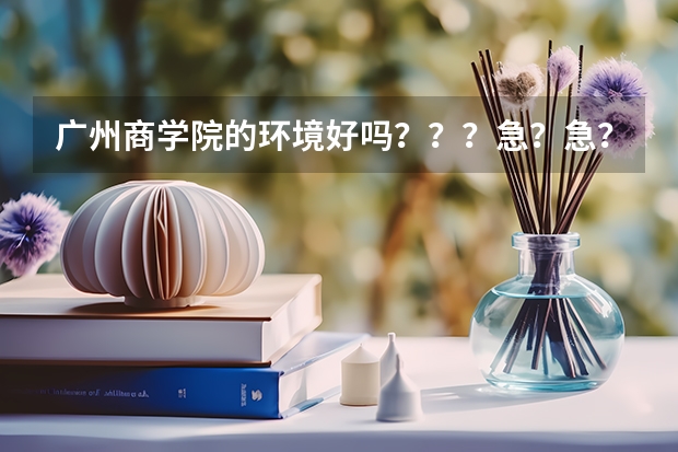 广州商学院的环境好吗???急?急?